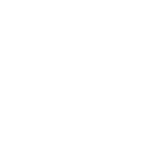 focus on monetisation